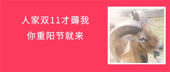 重阳登高后别忘了来薅免费的羊毛~